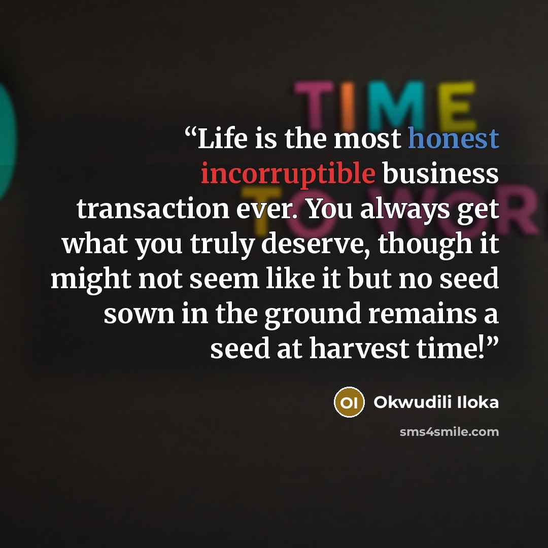 “Life is the most honest incorruptible business transaction ever. You always get what you truly deserve, though it might not seem like it but no seed sown in the ground remains a seed at harvest time!” quote by Okwudili Iloka