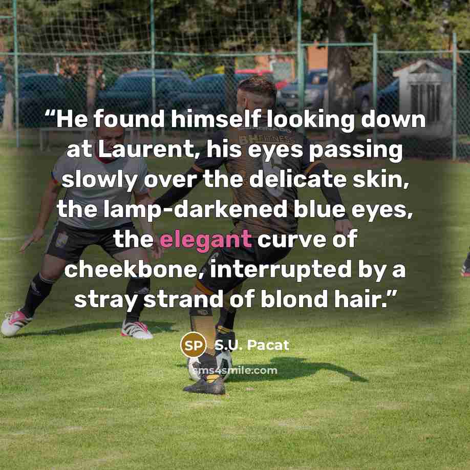 “He found himself looking down at Laurent, his eyes passing slowly over the delicate skin, the lamp-darkened blue eyes, the elegant curve of cheekbone, interrupted by a stray strand of blond hair.” quote by S.U. Pacat