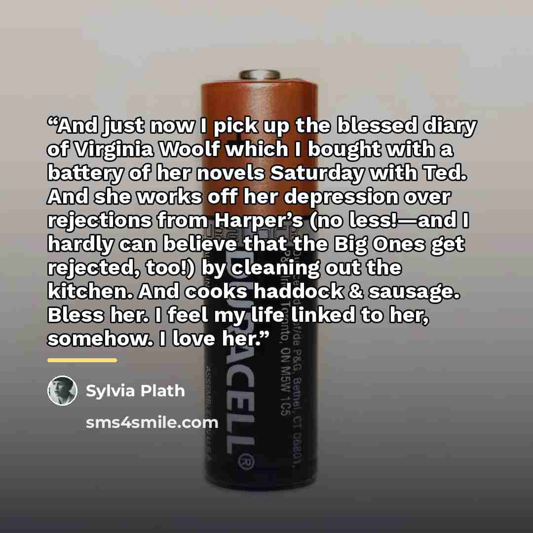 “And just now I pick up the blessed diary of Virginia Woolf which I bought with a battery of her novels Saturday with Ted. And she works off her depression over rejections from Harper’s (no less!—and I hardly can believe that the Big Ones get rejected, too!) by cleaning out the kitchen. And cooks…” quote by Sylvia Plath