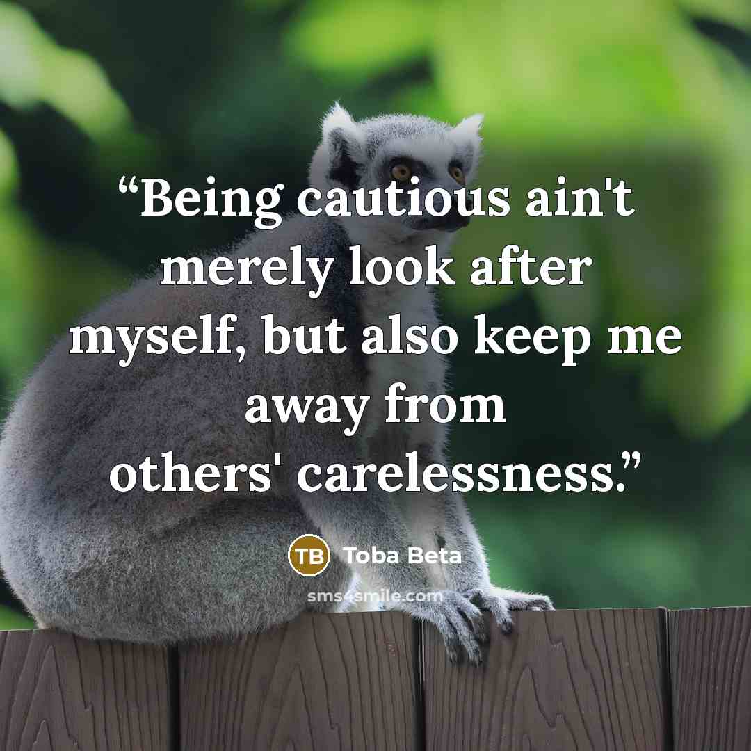 “Being cautious ain't merely look after myself, but also keep me away from others' carelessness.” quote by Toba Beta