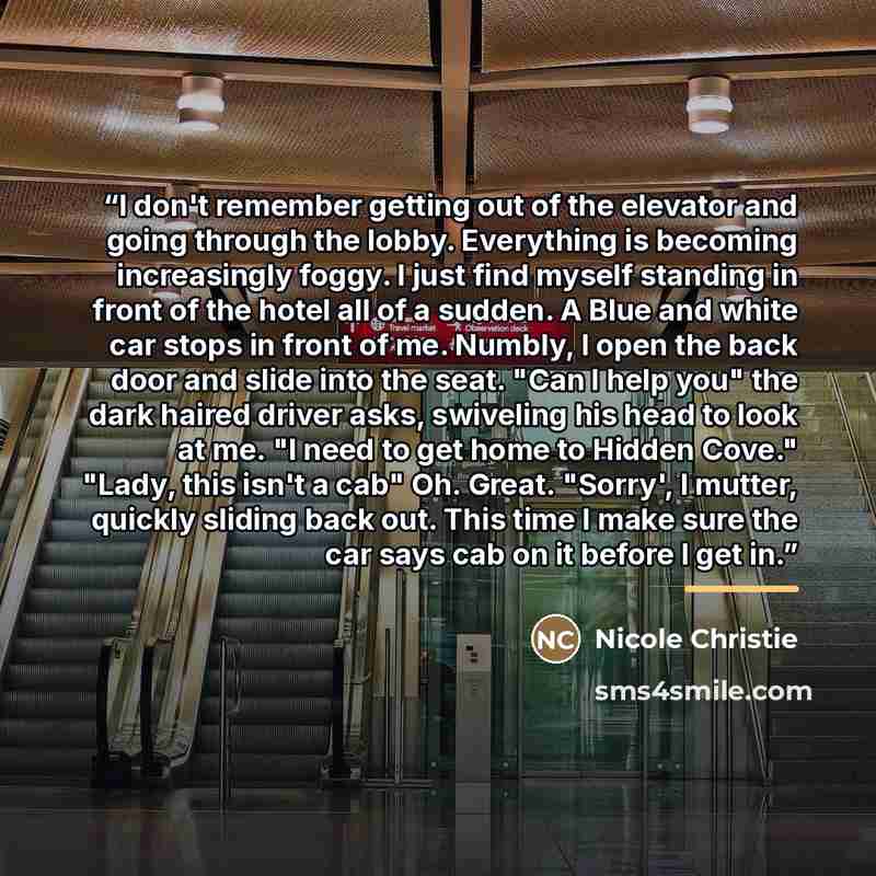 “I don't remember getting out of the elevator and going through the lobby. Everything is becoming increasingly foggy. I just find myself standing in front of the hotel all of a sudden. A Blue and white car stops in front of me. Numbly, I open the back door and slide into the seat. "Can I help you"…” quote by Nicole Christie