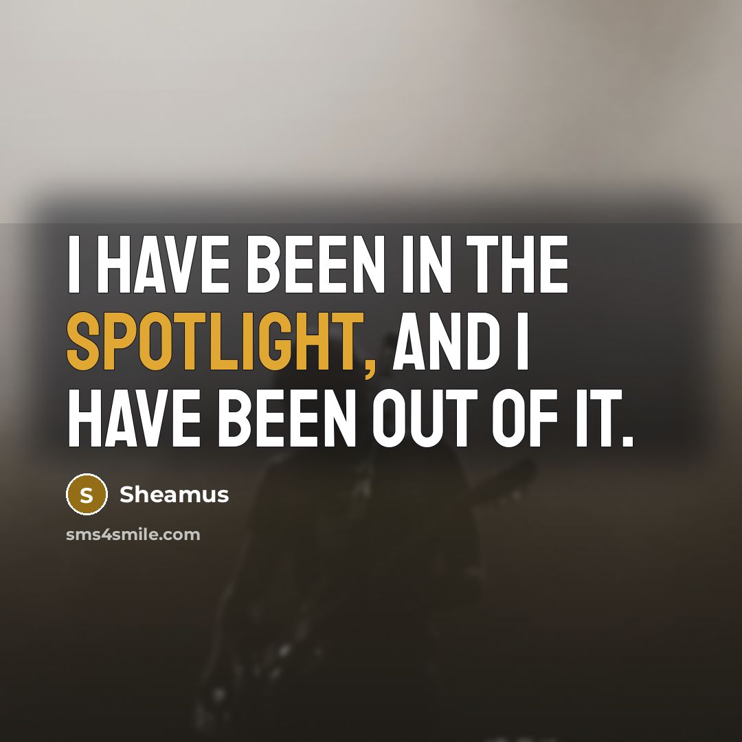 “I have been in the spotlight, and I have been out of it.” quote by Sheamus