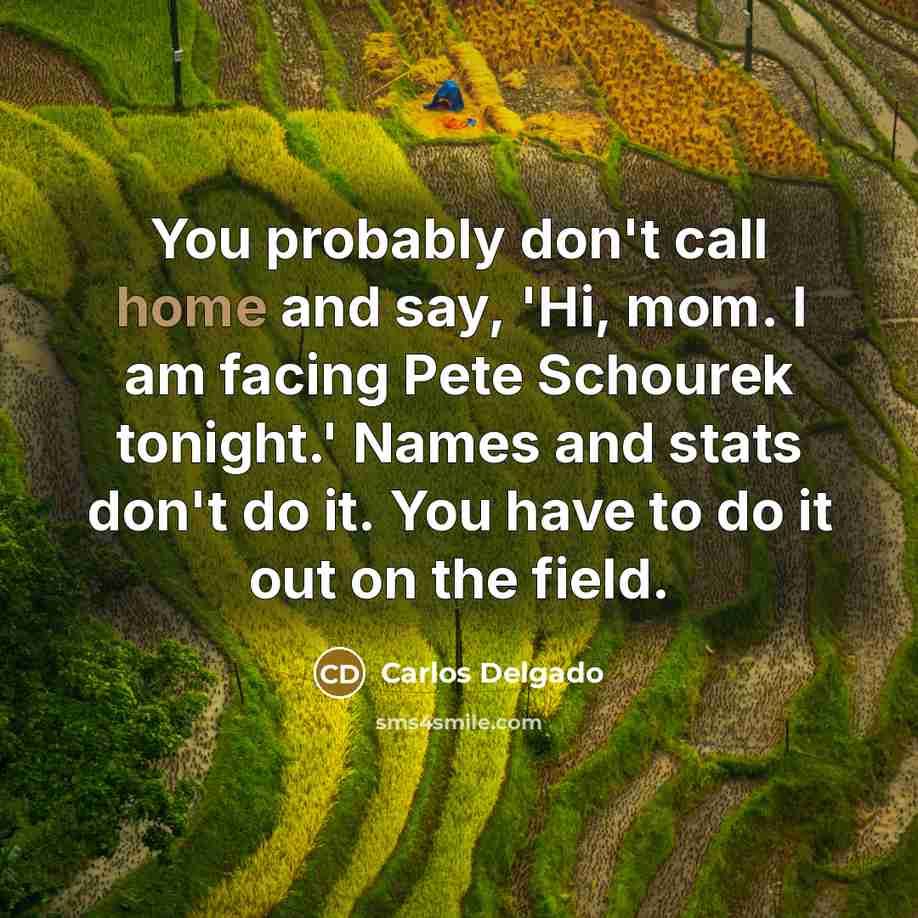“You probably don't call home and say, 'Hi, mom. I am facing Pete Schourek tonight.' Names and stats don't do it. You have to do it out on the field.” quote by Carlos Delgado