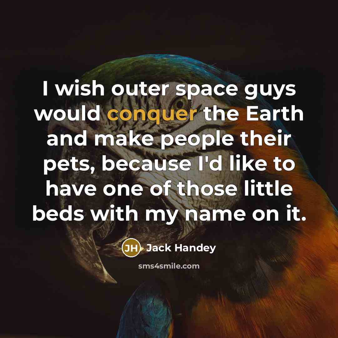 “I wish outer space guys would conquer the Earth and make people their pets, because I'd like to have one of those little beds with my name on it.” quote by Jack Handey