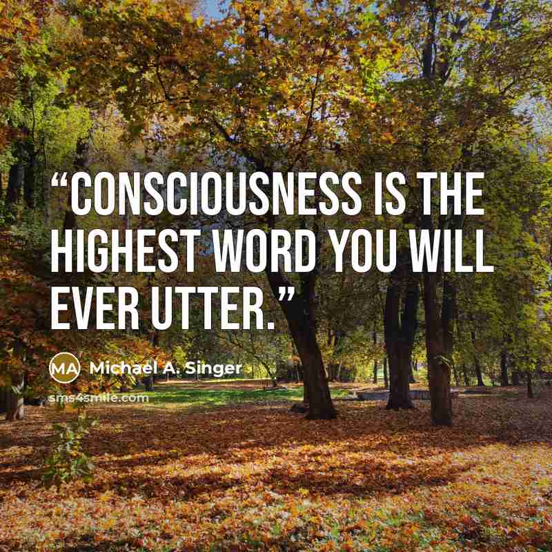 “Consciousness is the highest word you will ever utter.” quote by Michael A. Singer