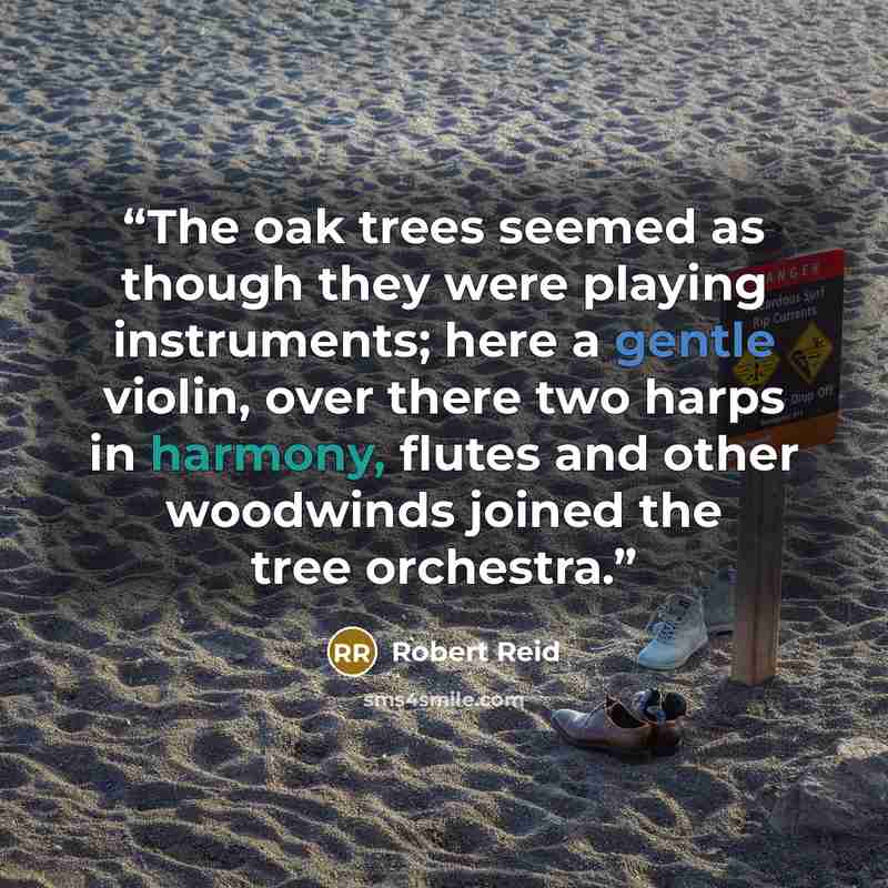 “The oak trees seemed as though they were playing instruments; here a gentle violin, over there two harps in harmony, flutes and other woodwinds joined the tree orchestra.” quote by Robert Reid