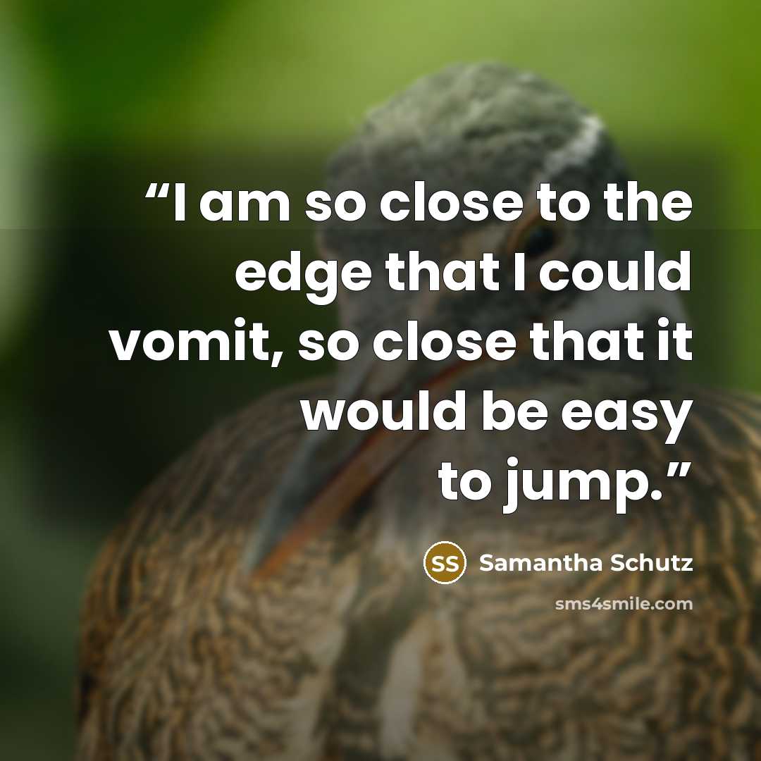 “I am so close to the edge that I could vomit, so close that it would be easy to jump.” quote by Samantha Schutz