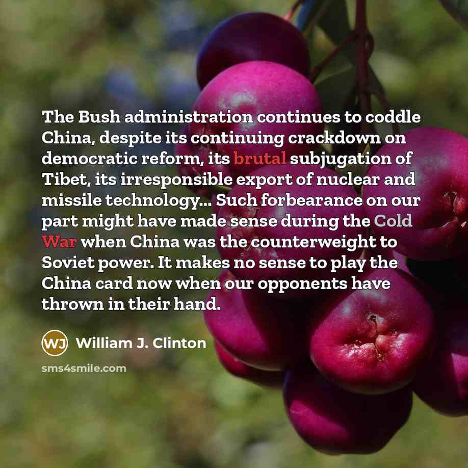 “The Bush administration continues to coddle China, despite its continuing crackdown on democratic reform, its brutal subjugation of Tibet, its irresponsible export of nuclear and missile technology... Such forbearance on our part might have made sense during the Cold War when China was the…” quote by William J. Clinton
