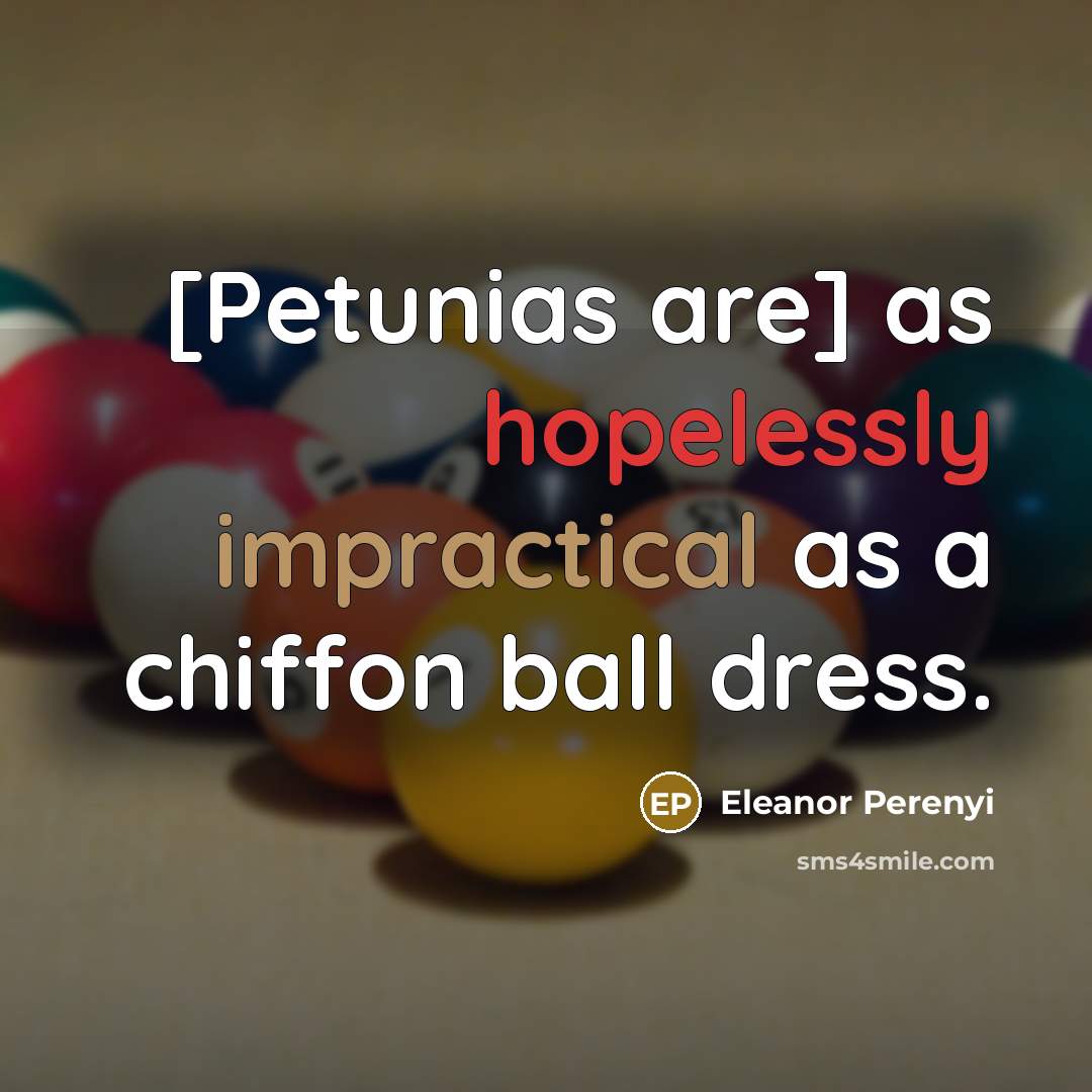 “[Petunias are] as hopelessly impractical as a chiffon ball dress.” quote by Eleanor Perenyi