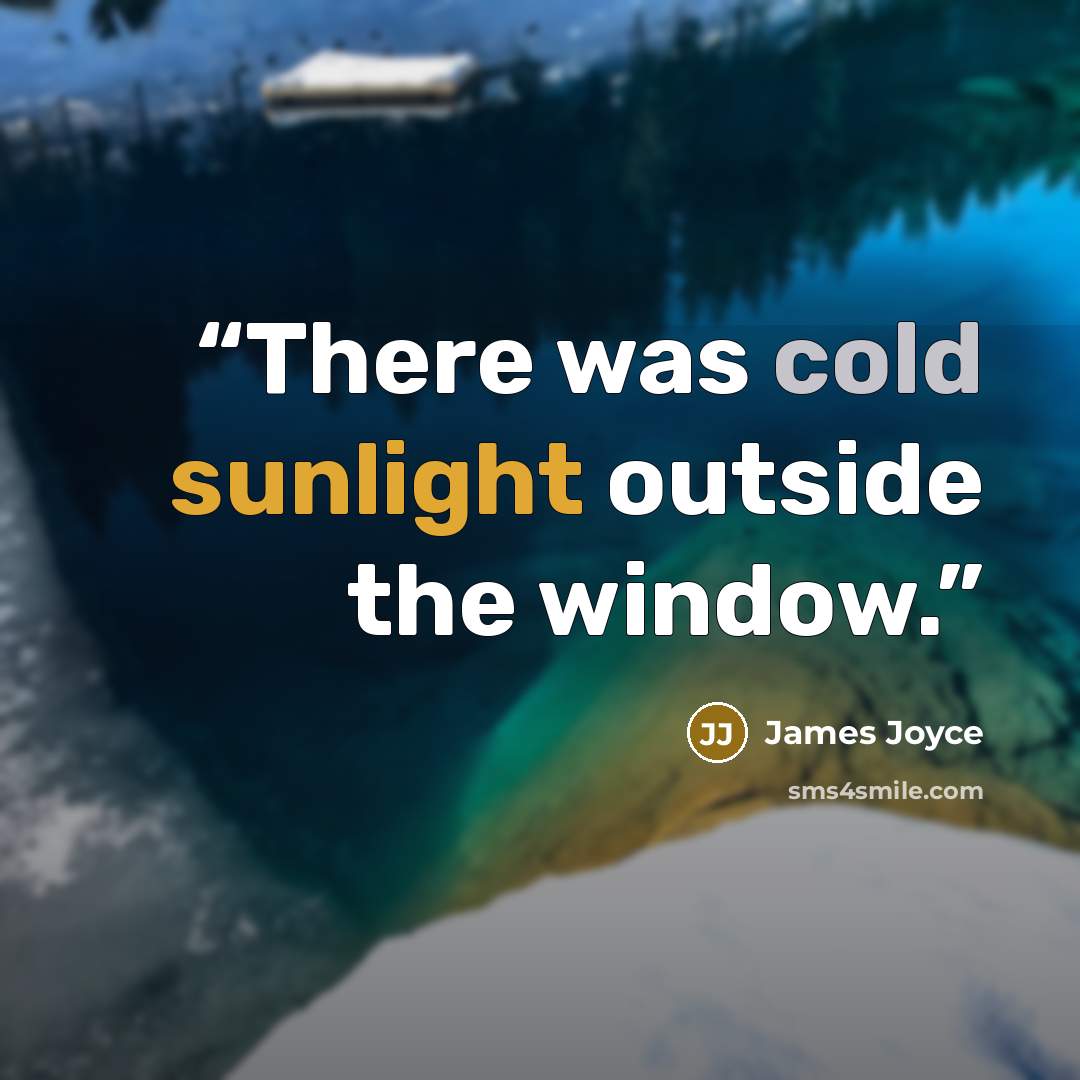 “There was cold sunlight outside the window.” quote by James Joyce
