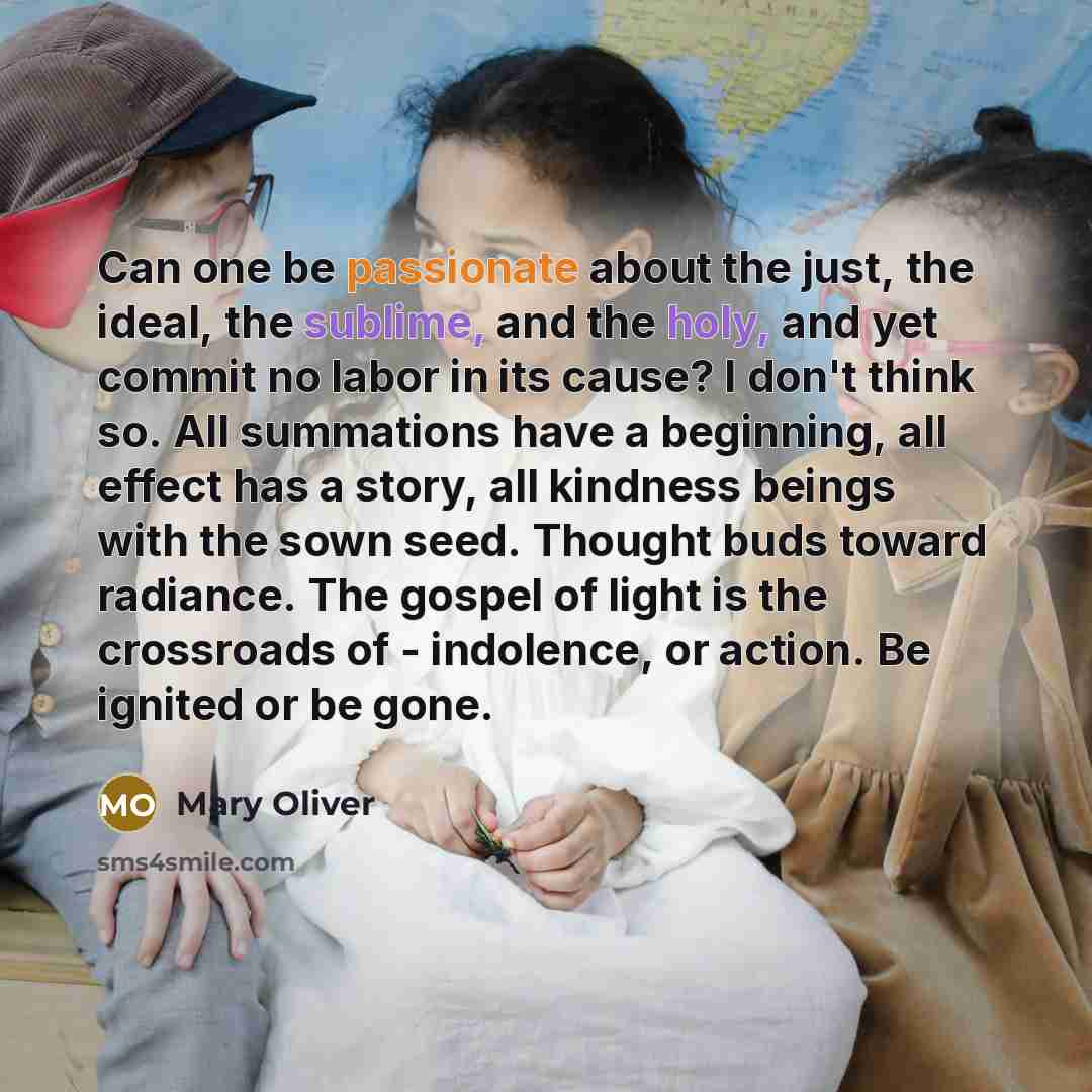 “Can one be passionate about the just, the ideal, the sublime, and the holy, and yet commit no labor in its cause? I don't think so. All summations have a beginning, all effect has a story, all kindness beings with the sown seed. Thought buds toward radiance. The gospel of light is the crossroads…” quote by Mary Oliver