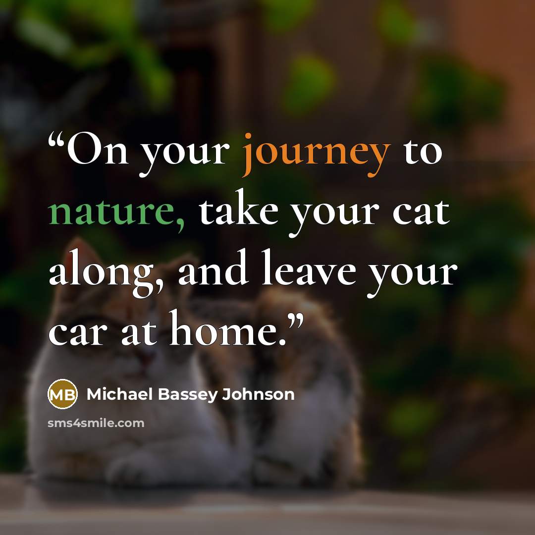 “On your journey to nature, take your cat along, and leave your car at home.” quote by Michael Bassey Johnson