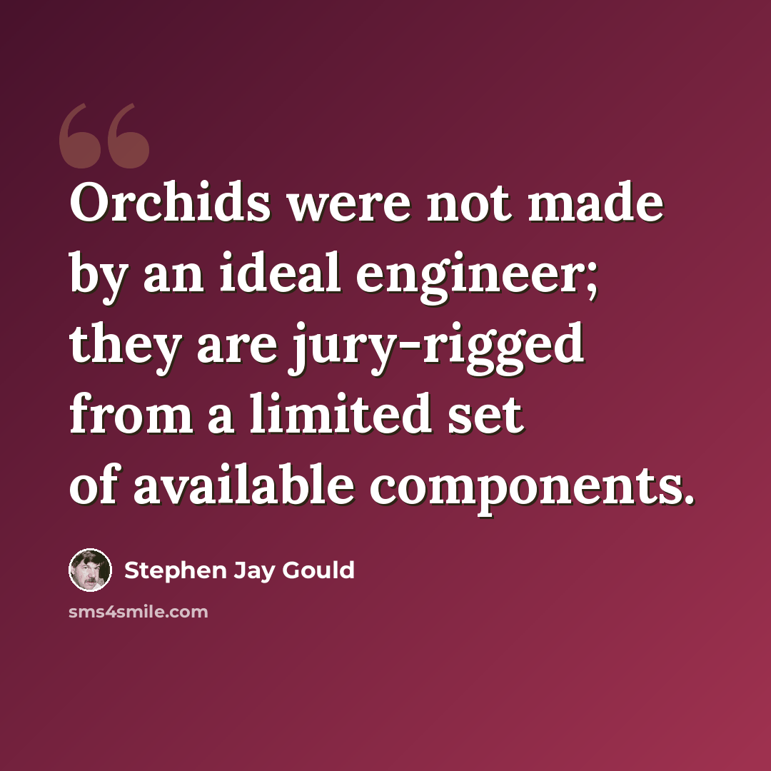 “Orchids were not made by an ideal engineer; they are jury-rigged from a limited set of available components.” quote by Stephen Jay Gould
