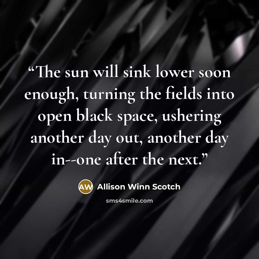 “The sun will sink lower soon enough, turning the fields into open black space, ushering another day out, another day in--one after the next.” quote by Allison Winn Scotch