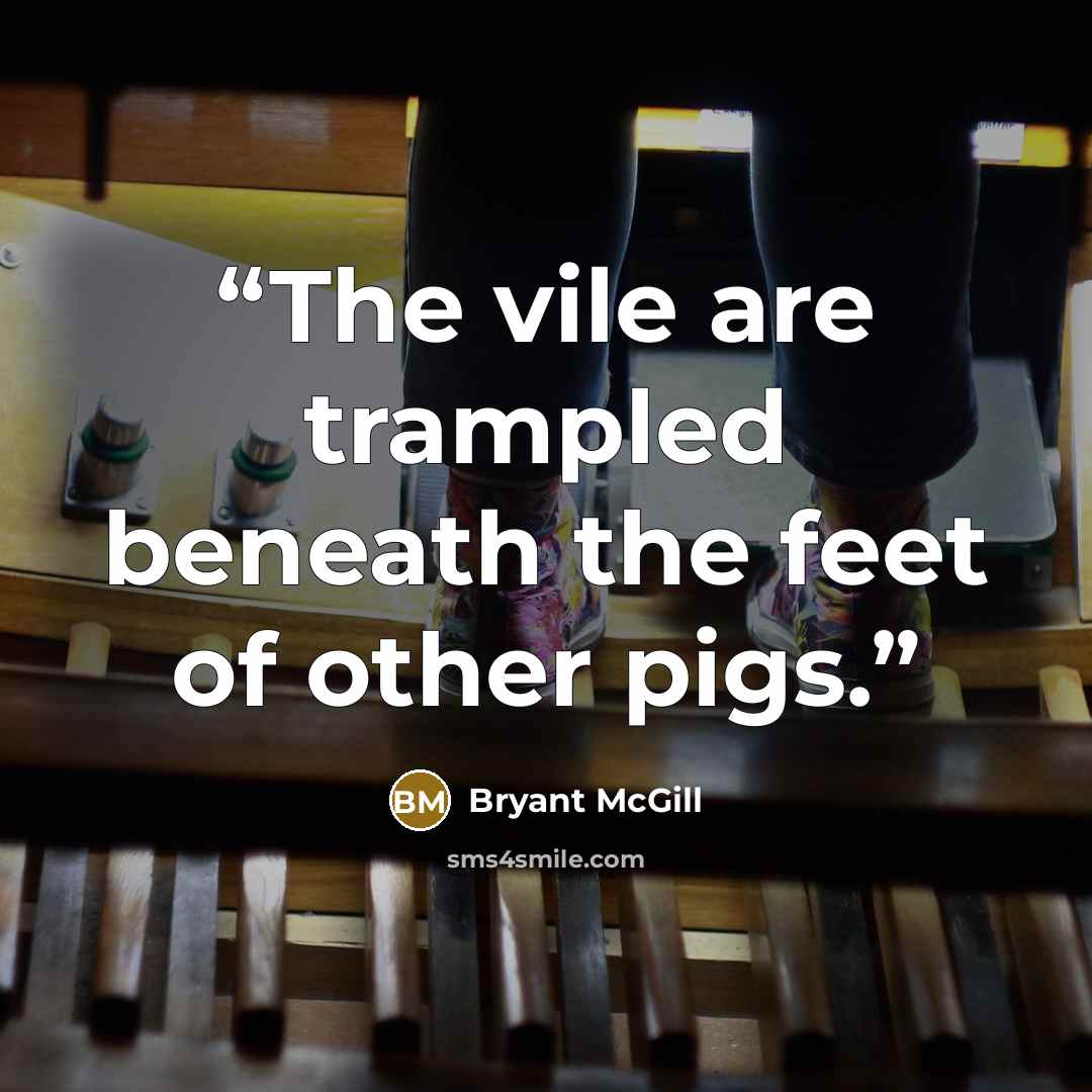 “The vile are trampled beneath the feet of other pigs.” quote by Bryant McGill
