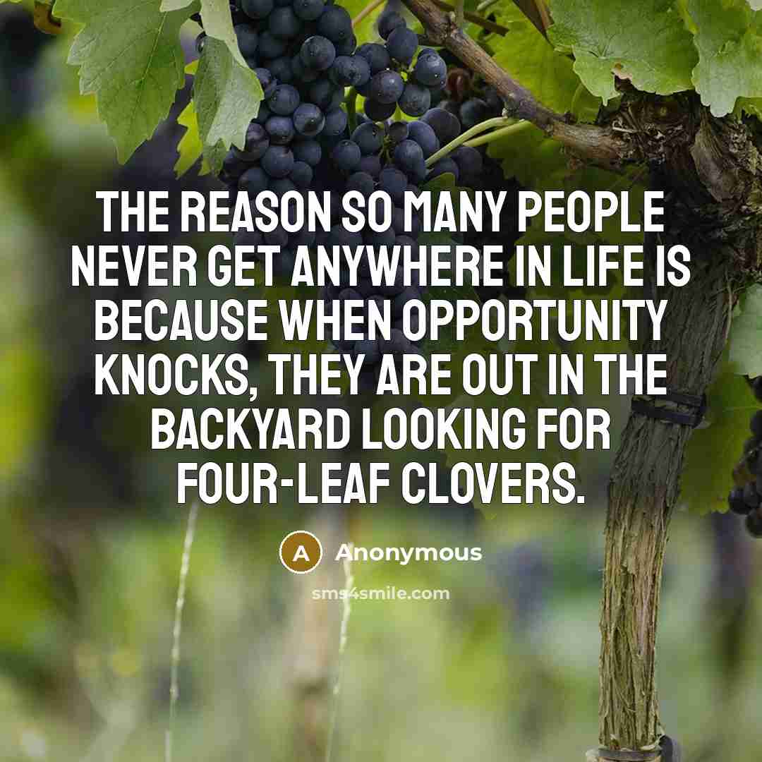 “The reason so many people never get anywhere in life is because when opportunity knocks, they are out in the backyard looking for four-leaf clovers.” quote by Anonymous