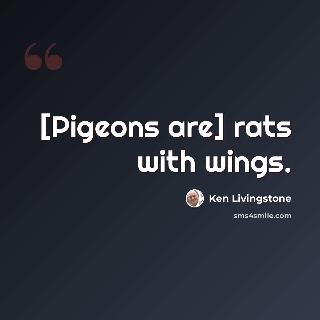 “[Pigeons are] rats with wings.” quote by Ken Livingstone