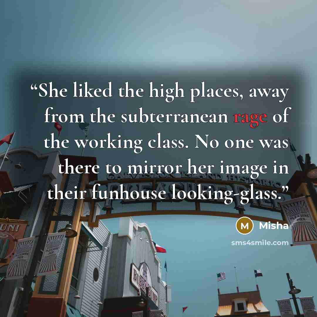 “She liked the high places, away from the subterranean rage of the working class. No one was there to mirror her image in their funhouse looking-glass.” quote by Misha