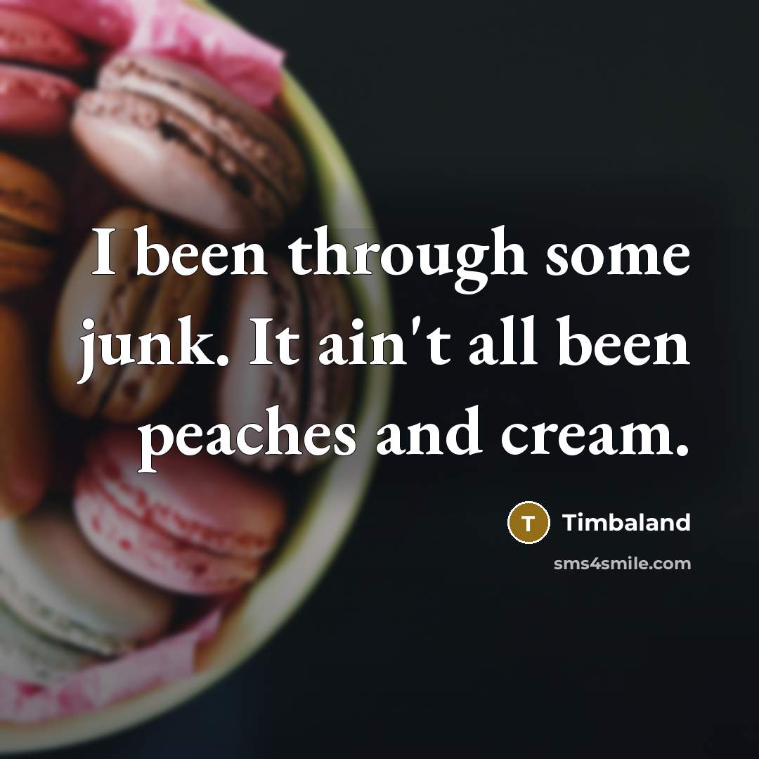 “I been through some junk. It ain't all been peaches and cream.” quote by Timbaland