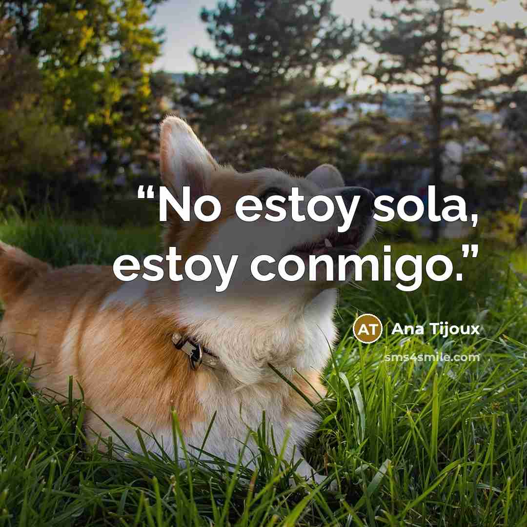 “No estoy sola, estoy conmigo.” quote by Ana Tijoux
