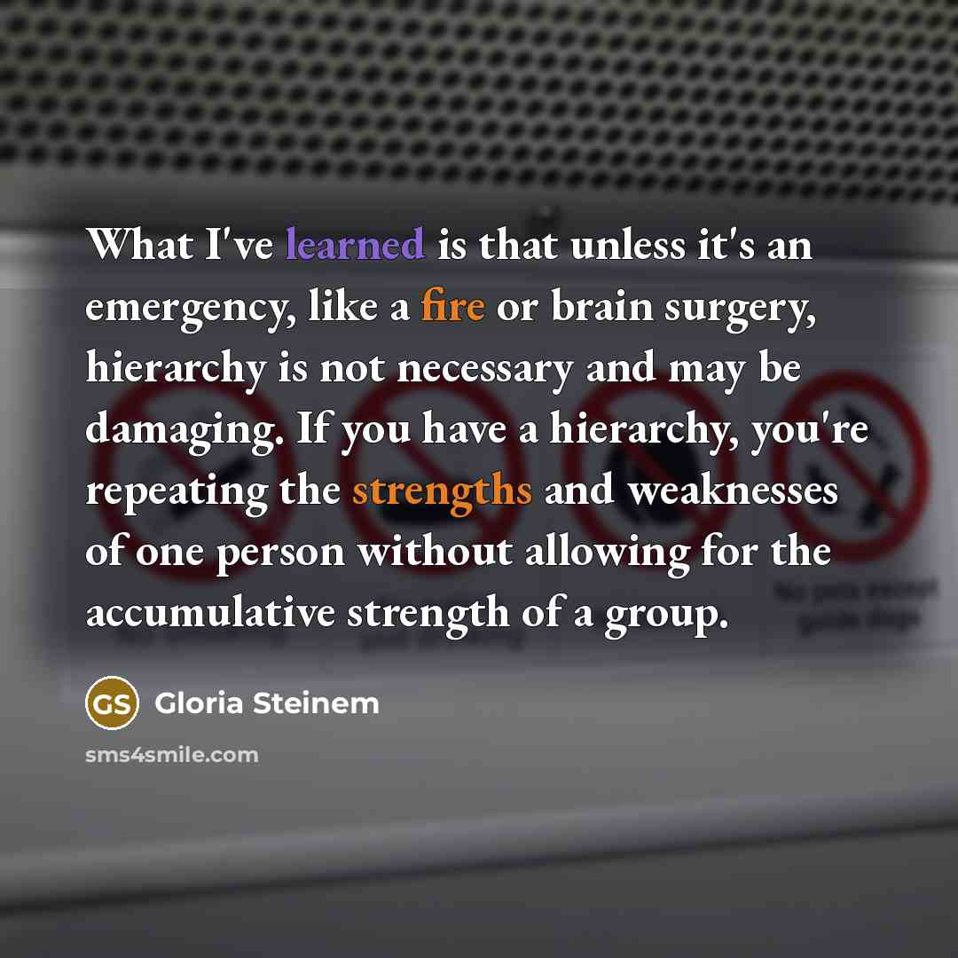 “What I've learned is that unless it's an emergency, like a fire or brain surgery, hierarchy is not necessary and may be damaging. If you have a hierarchy, you're repeating the strengths and weaknesses of one person without allowing for the accumulative strength of a group.” quote by Gloria Steinem