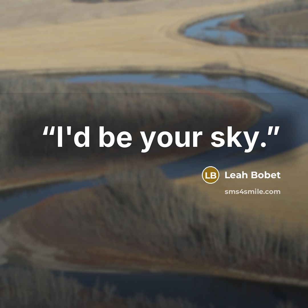 “I'd be your sky.” quote by Leah Bobet