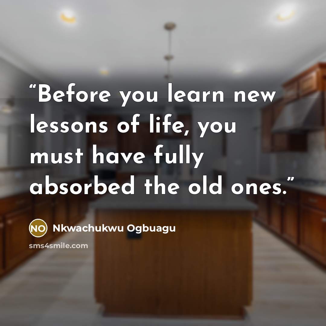 “Before you learn new lessons of life, you must have fully absorbed the old ones.” quote by Nkwachukwu Ogbuagu