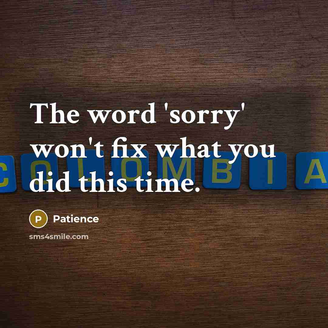 “The word 'sorry' won't fix what you did this time.” quote by Patience