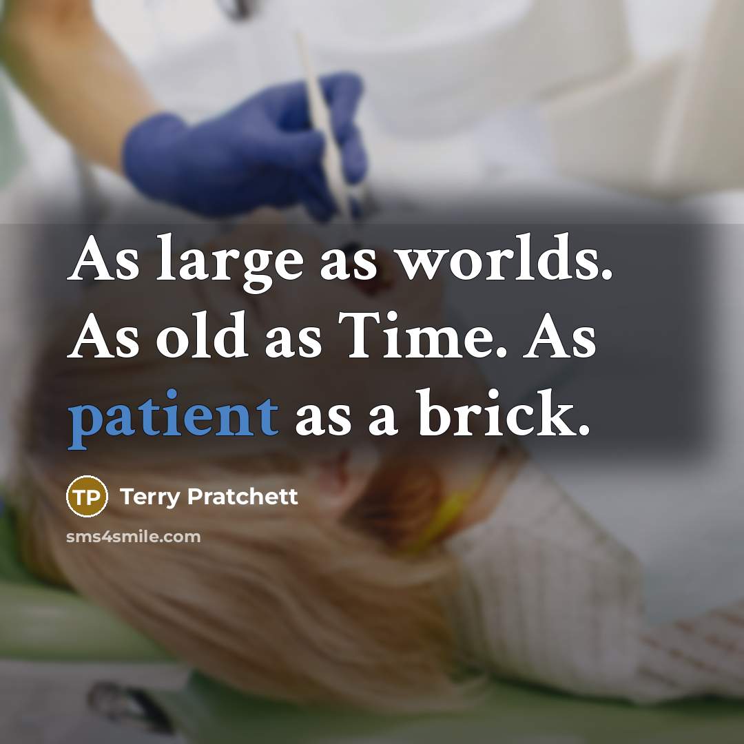 “As large as worlds. As old as Time. As patient as a brick.” quote by Terry Pratchett