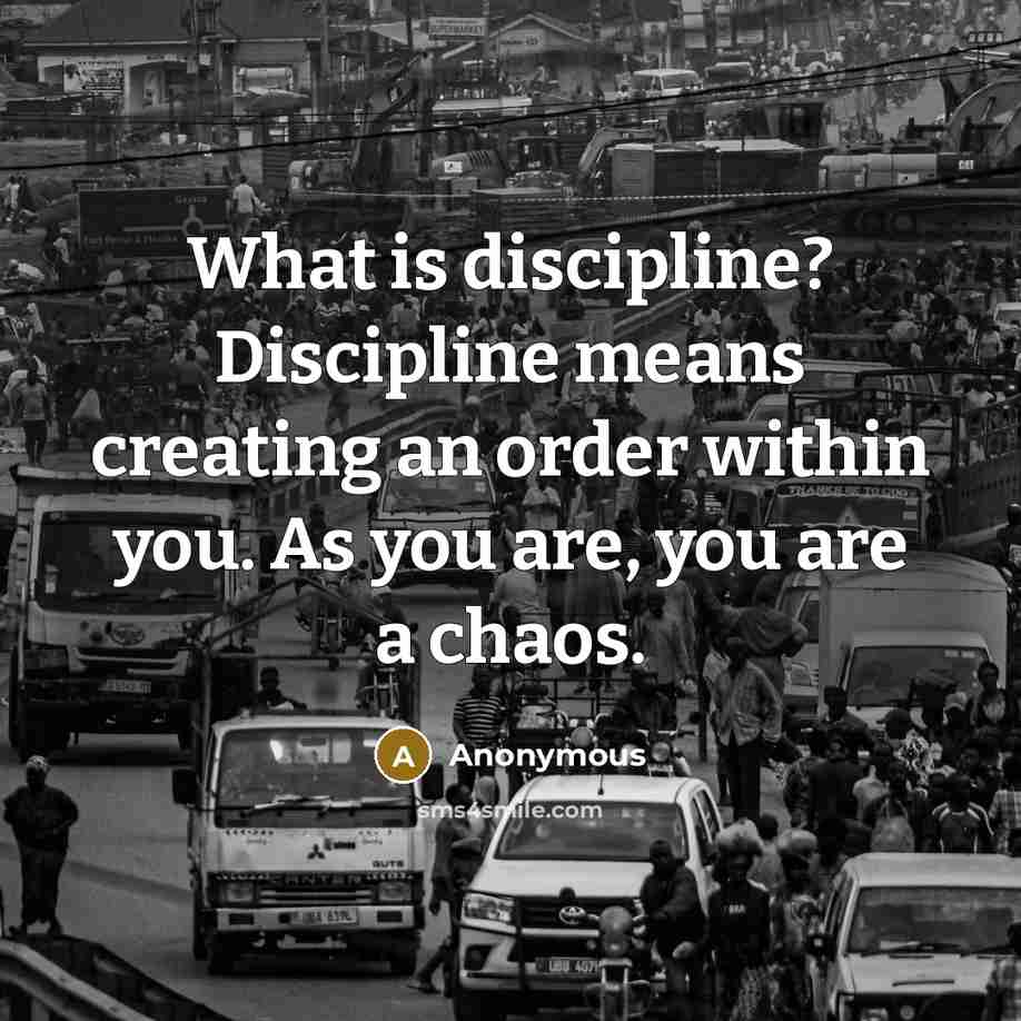 “What is discipline? Discipline means creating an order within you. As you are, you are a chaos.” quote by Anonymous