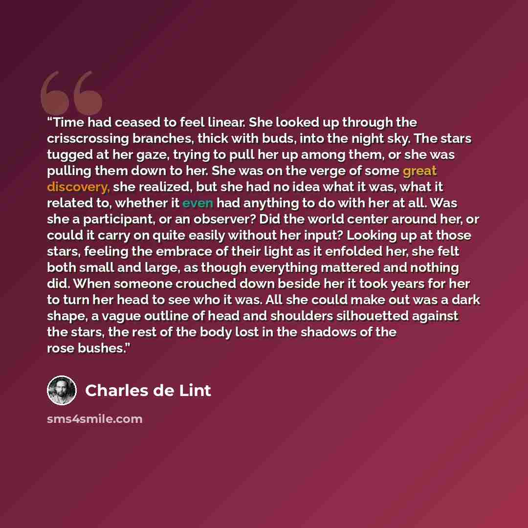 “Time had ceased to feel linear. She looked up through the crisscrossing branches, thick with buds, into the night sky. The stars tugged at her gaze, trying to pull her up among them, or she was pulling them down to her. She was on the verge of some great discovery, she realized, but she had no…” quote by Charles de Lint