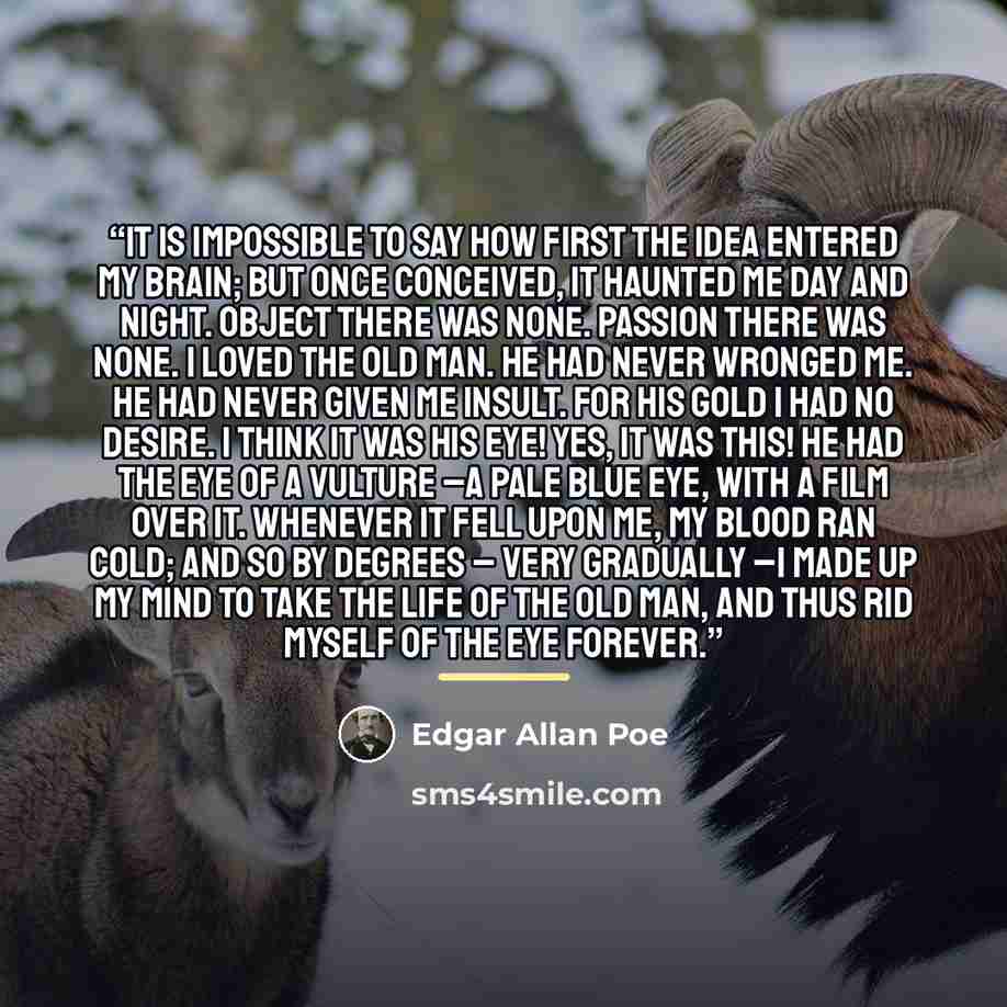 “It is impossible to say how first the idea entered my brain; but once conceived, it haunted me day and night. Object there was none. Passion there was none. I loved the old man. He had never wronged me. He had never given me insult. For his gold I had no desire. I think it was his eye! yes, it was…” quote by Edgar Allan Poe