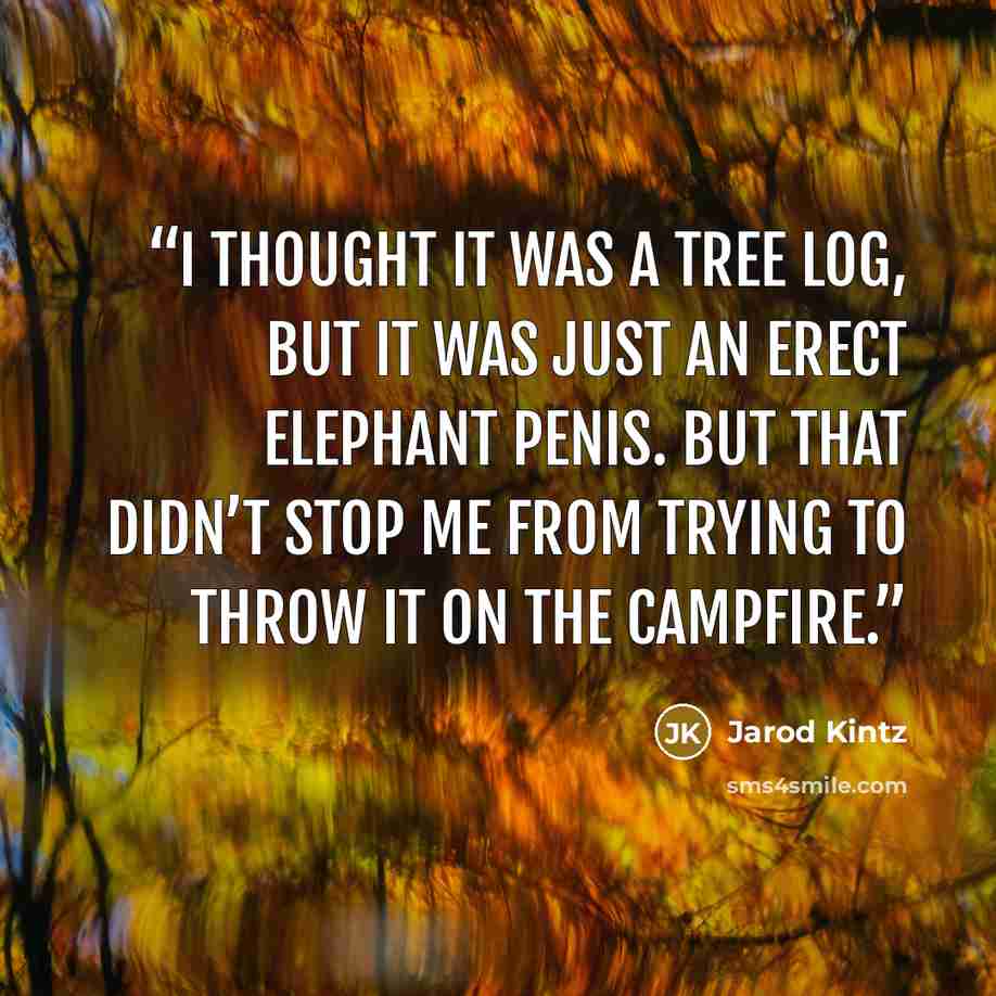“I thought it was a tree log, but it was just an erect elephant penis. But that didn’t stop me from trying to throw it on the campfire.” quote by Jarod Kintz