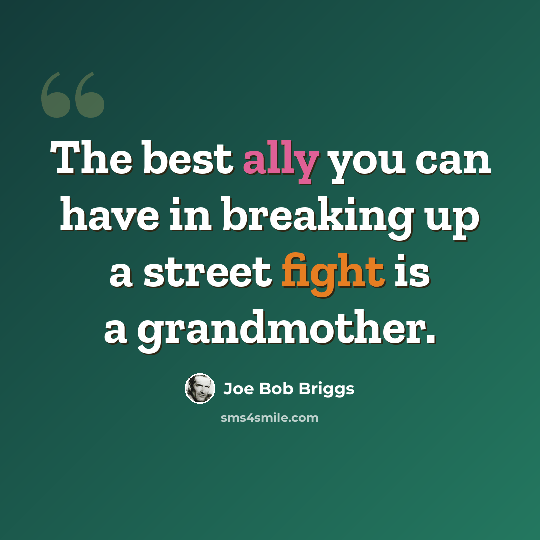 “The best ally you can have in breaking up a street fight is a grandmother.” quote by Joe Bob Briggs