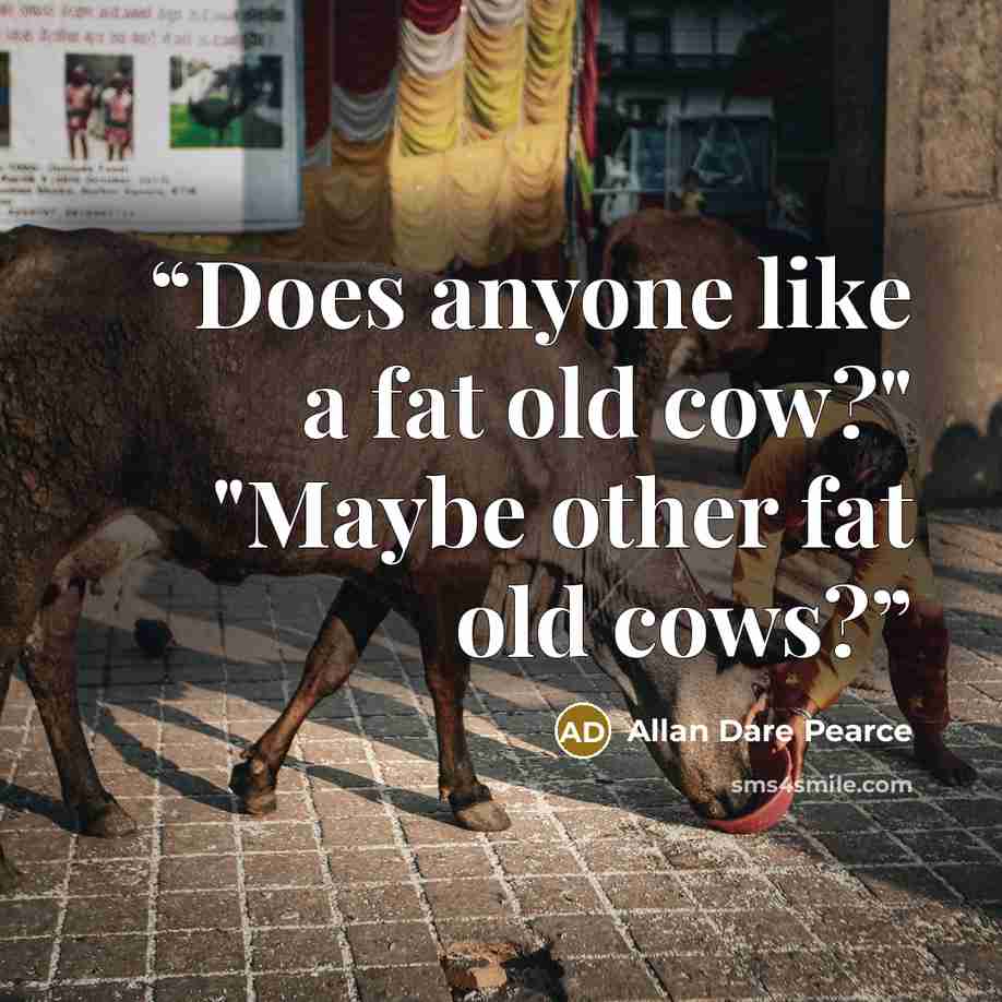 “Does anyone like a fat old cow?" "Maybe other fat old cows?” quote by Allan Dare Pearce