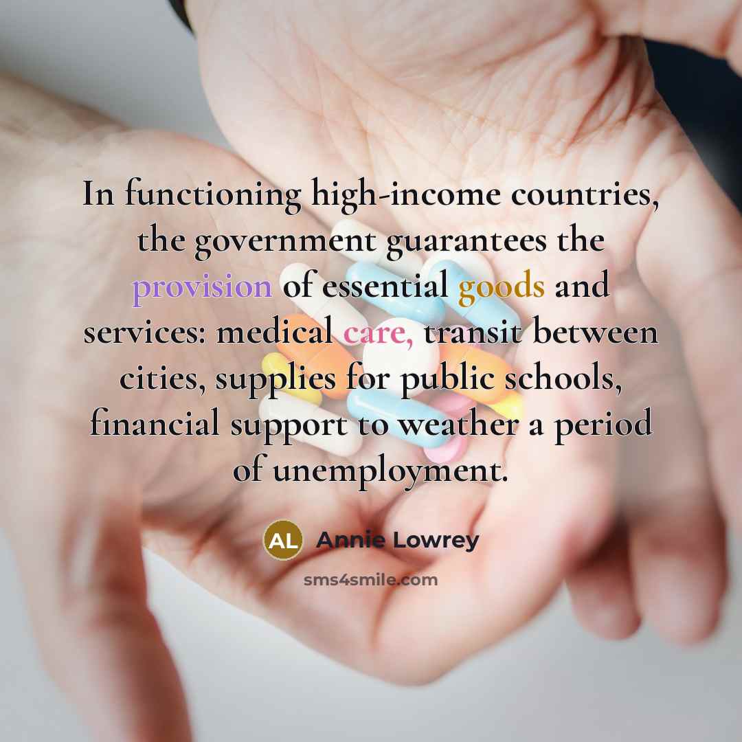 “In functioning high-income countries, the government guarantees the provision of essential goods and services: medical care, transit between cities, supplies for public schools, financial support to weather a period of unemployment.” quote by Annie Lowrey