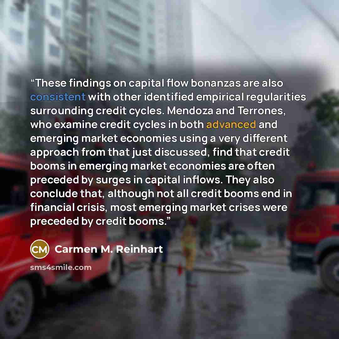 “These findings on capital flow bonanzas are also consistent with other identified empirical regularities surrounding credit cycles. Mendoza and Terrones, who examine credit cycles in both advanced and emerging market economies using a very different approach from that just discussed, find that…” quote by Carmen M. Reinhart