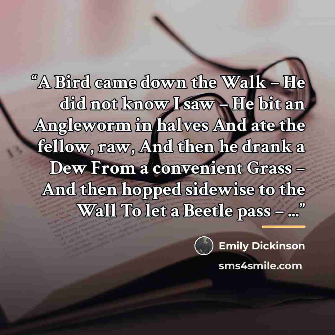“A Bird came down the Walk – He did not know I saw – He bit an Angleworm in halves And ate the fellow, raw, And then he drank a Dew From a convenient Grass – And then hopped sidewise to the Wall To let a Beetle pass – ...” quote by Emily Dickinson