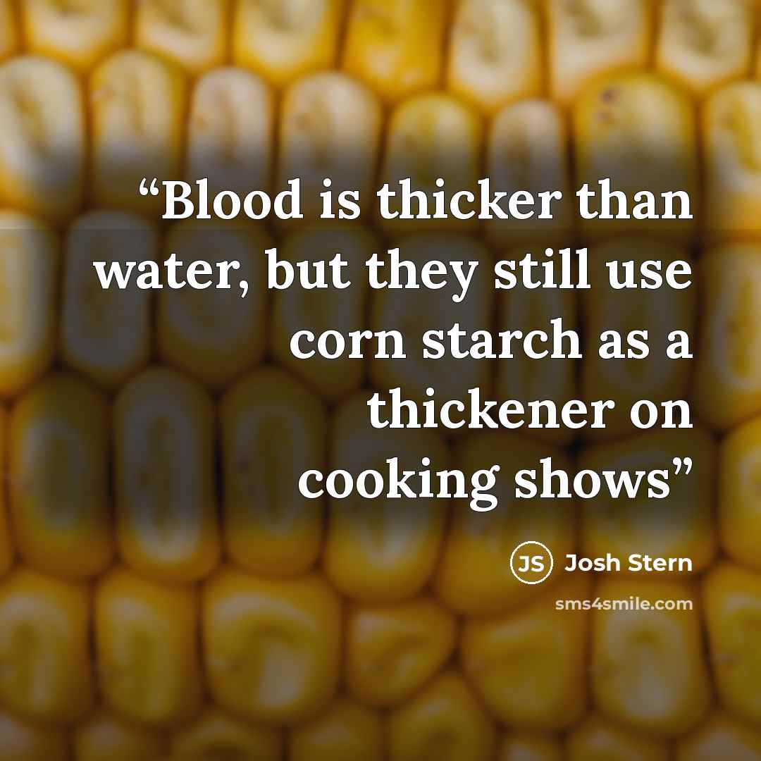 “Blood is thicker than water, but they still use corn starch as a thickener on cooking shows” quote by Josh Stern