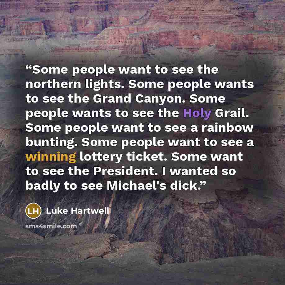 “Some people want to see the northern lights. Some people wants to see the Grand Canyon. Some people wants to see the Holy Grail. Some people want to see a rainbow bunting. Some people want to see a winning lottery ticket. Some want to see the President. I wanted so badly to see Michael's dick.” quote by Luke Hartwell