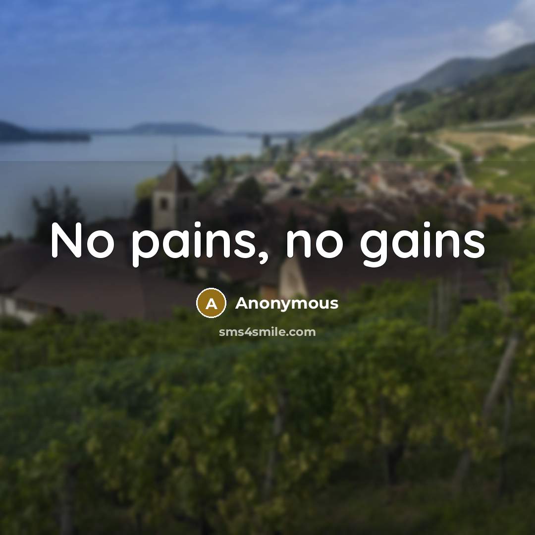 “No pains, no gains” quote by Anonymous