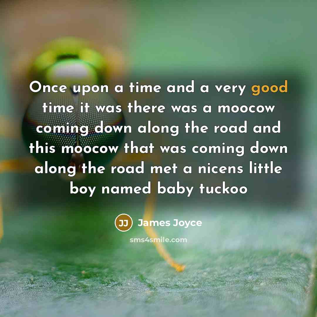 “Once upon a time and a very good time it was there was a moocow coming down along the road and this moocow that was coming down along the road met a nicens little boy named baby tuckoo” quote by James Joyce