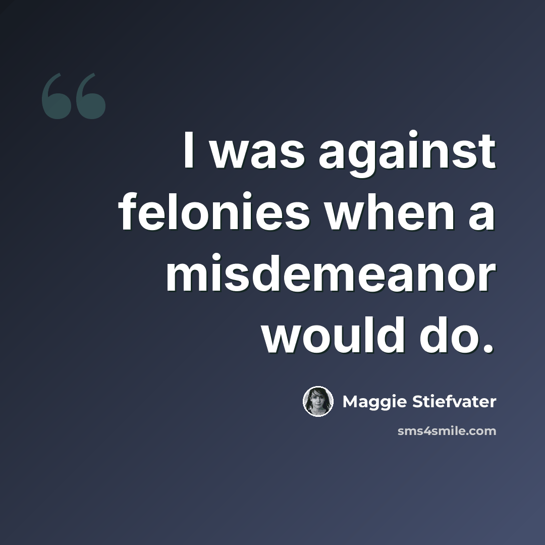 “I was against felonies when a misdemeanor would do.” quote by Maggie Stiefvater