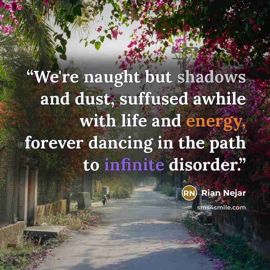 “We're naught but shadows and dust, suffused awhile with life and energy, forever dancing in the path to infinite disorder.” quote by Rian Nejar