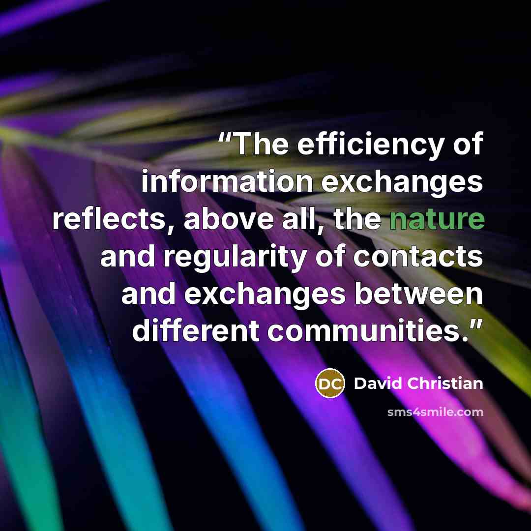 “The efficiency of information exchanges reflects, above all, the nature and regularity of contacts and exchanges between different communities.” quote by David Christian