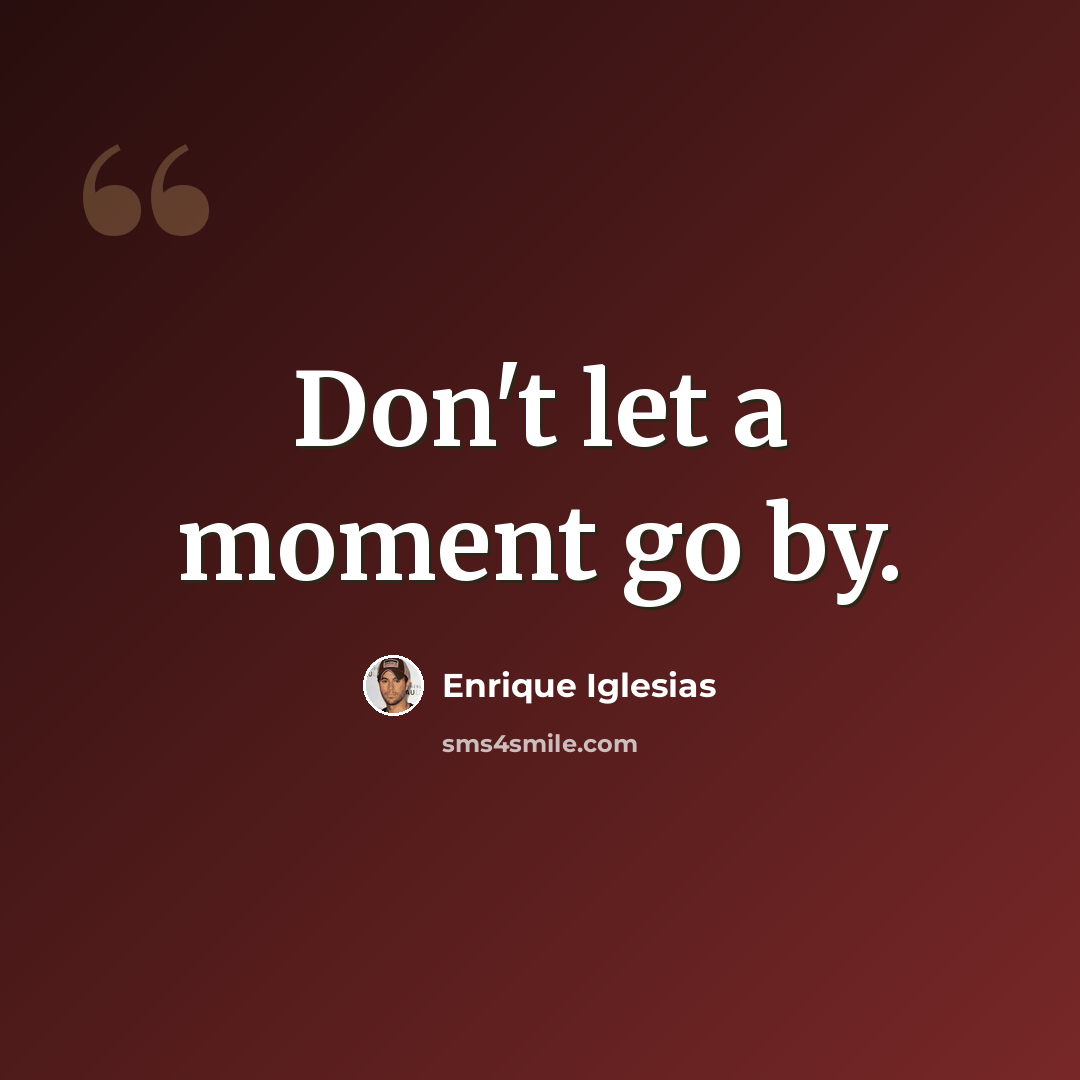 “Don't let a moment go by.” quote by Enrique Iglesias