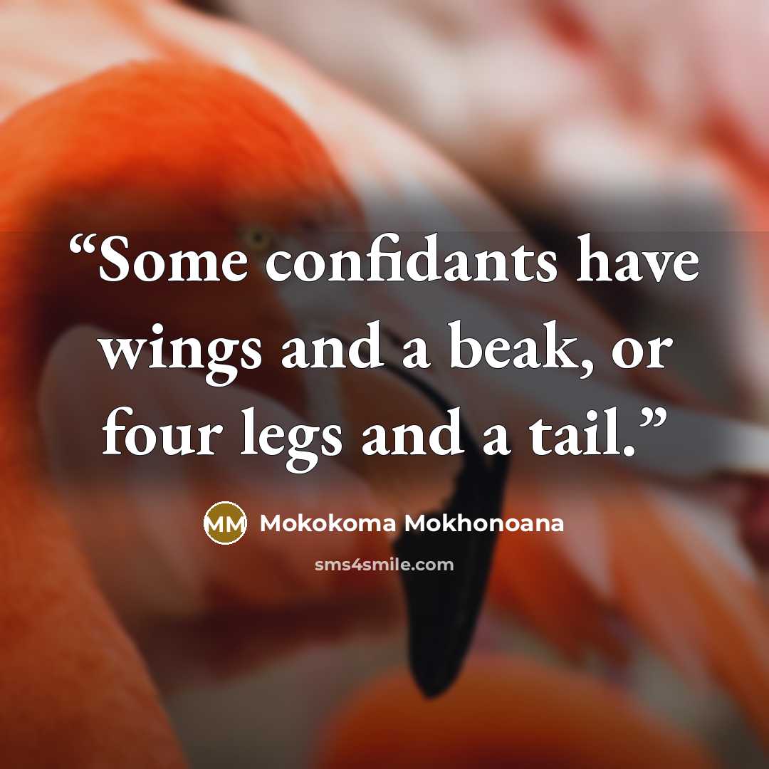 “Some confidants have wings and a beak, or four legs and a tail.” quote by Mokokoma Mokhonoana