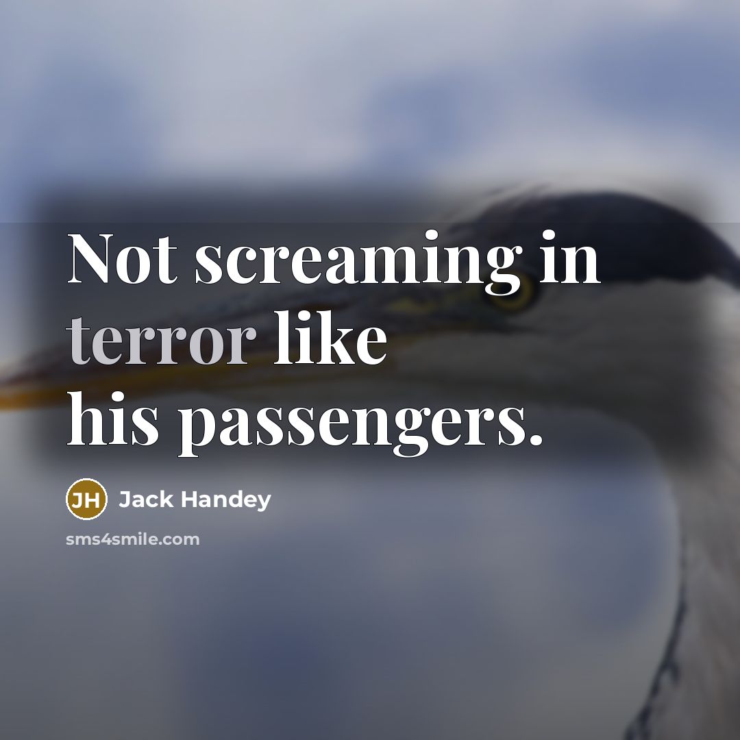 “Not screaming in terror like his passengers.” quote by Jack Handey