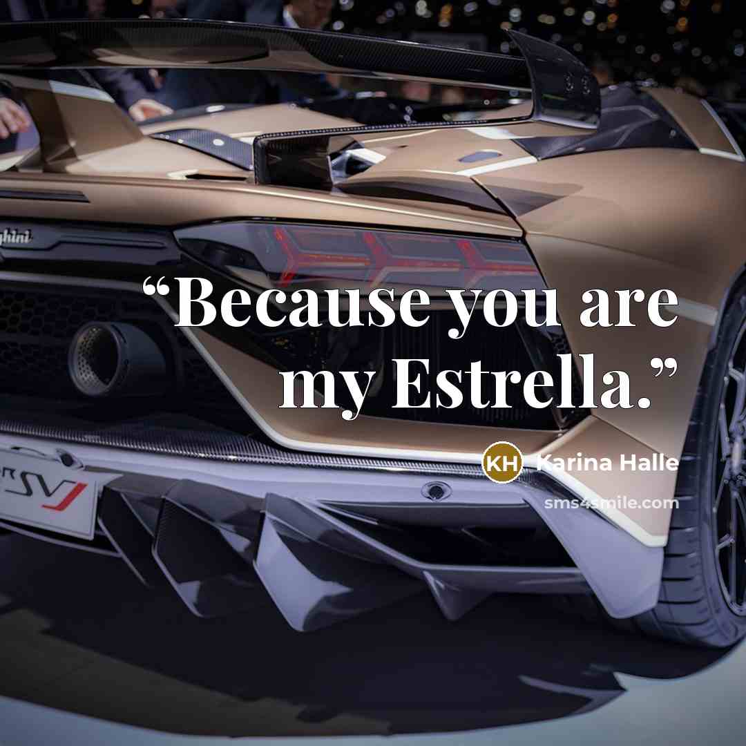 “Because you are my Estrella.” quote by Karina Halle