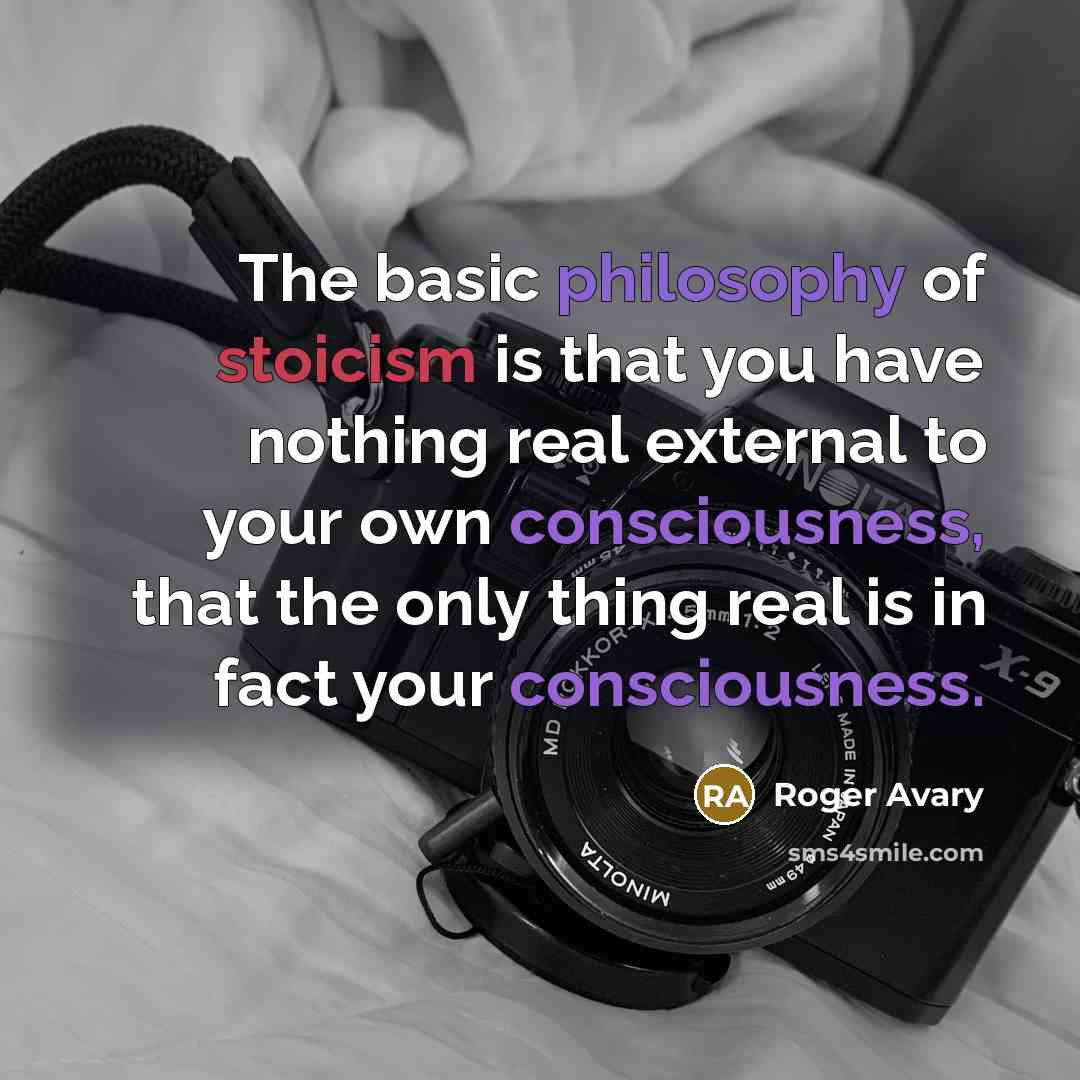 “The basic philosophy of stoicism is that you have nothing real external to your own consciousness, that the only thing real is in fact your consciousness.” quote by Roger Avary